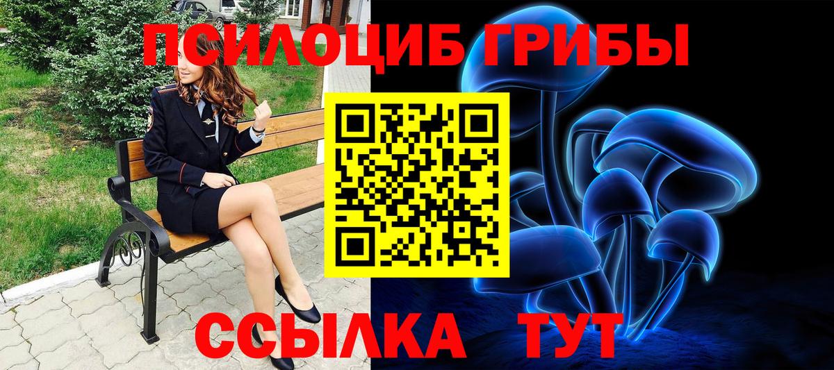 хочу   Галлюциногенные грибы ЛСД  Чебаркуль  Вход с VPN  Псилоцибиновые грибы Psilocybe 